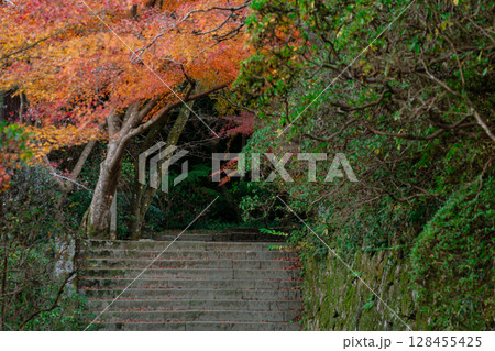 奈良県天理市の紅葉まっさかりの釜の口山長岳寺を撮影 128455425