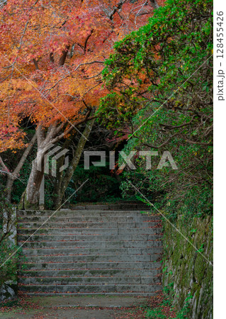 奈良県天理市の紅葉まっさかりの釜の口山長岳寺を撮影 奈良県天理市の紅葉まっさかりの釜の口山長岳寺を撮影 128455426