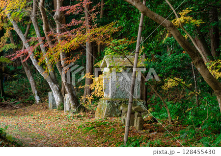 奈良県天理市の紅葉まっさかりの釜の口山長岳寺を撮影 奈良県天理市の紅葉まっさかりの釜の口山長岳寺を撮影 128455430