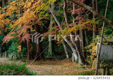 奈良県天理市の紅葉まっさかりの釜の口山長岳寺を撮影 128455432