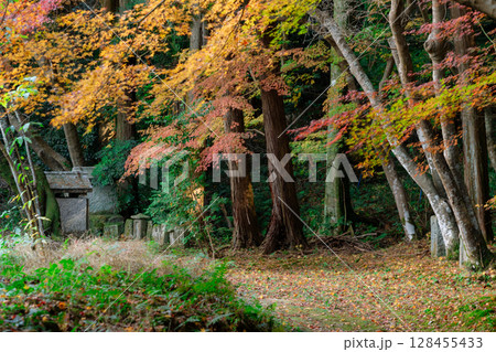 奈良県天理市の紅葉まっさかりの釜の口山長岳寺を撮影 128455433