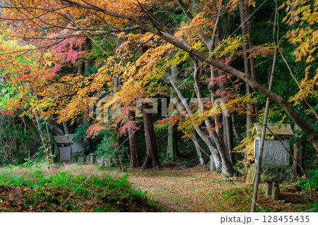 奈良県天理市の紅葉まっさかりの釜の口山長岳寺を撮影 128455435