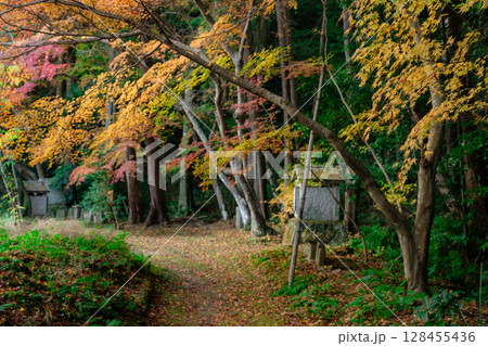 奈良県天理市の紅葉まっさかりの釜の口山長岳寺を撮影 奈良県天理市の紅葉まっさかりの釜の口山長岳寺を撮影 128455436