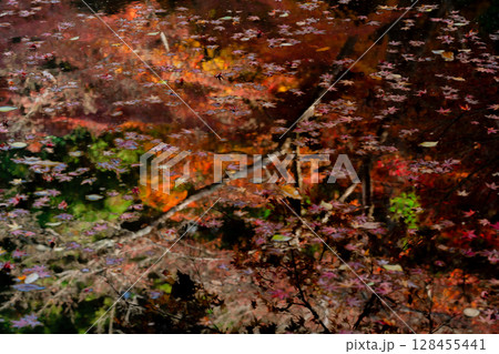 奈良県天理市の紅葉まっさかりの釜の口山長岳寺を撮影 128455441