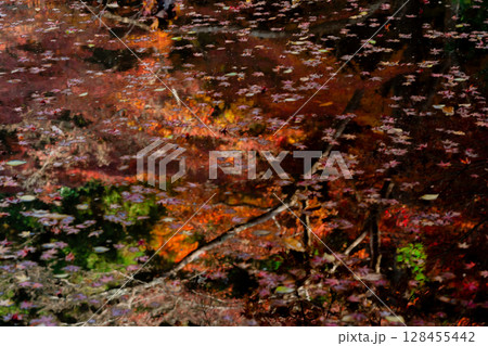 奈良県天理市の紅葉まっさかりの釜の口山長岳寺を撮影 奈良県天理市の紅葉まっさかりの釜の口山長岳寺を撮影 128455442