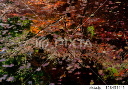 奈良県天理市の紅葉まっさかりの釜の口山長岳寺を撮影 128455443