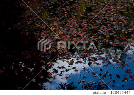 奈良県天理市の紅葉まっさかりの釜の口山長岳寺を撮影 128455444