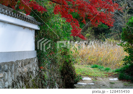 奈良県天理市の紅葉まっさかりの釜の口山長岳寺を撮影 128455450