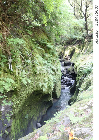 宮崎県高千穂峡 宮崎県高千穂峡 128455607
