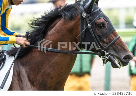 競馬場の風景　直線を走る馬　福島県福島市 128455736