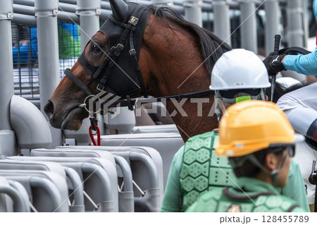 競馬場の風景　ゲートインする馬　福島県福島市 128455789