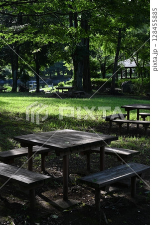 緑に包まれた公園のベンチ 128455885