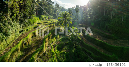 Aerial drone view of Tegallalang Rice fields terraces in Ubud, Bali, Indonesia Aerial drone view of Tegallalang Rice fields terraces in Ubud, Bali, Indonesia 128456191