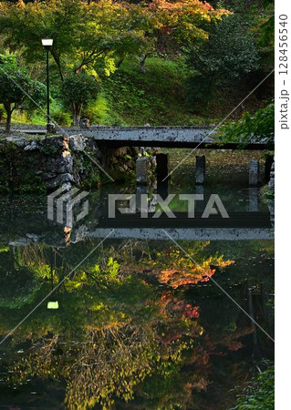池に映る紅葉 池に映る紅葉 128456540