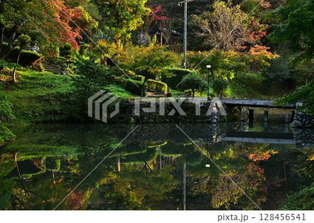 池に映る紅葉 128456541