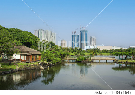 浜離宮恩賜庭園の風景 128456645