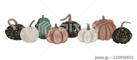 Pumpkins border garland composition isolated on white. Cozy small gourds autumn decoration. Vector squash set illustration. Pumpkins border garland composition isolated on white. Cozy small gourds autumn decoration. Vector squash set illustration. 128456652