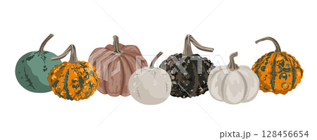 Pumpkins border garland composition isolated on white. Cozy small gourds autumn decoration. Vector squash set illustration. 128456654
