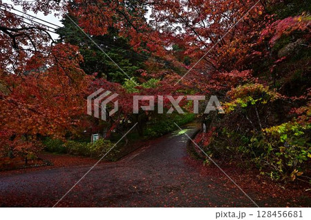 円通寺の紅葉 128456681