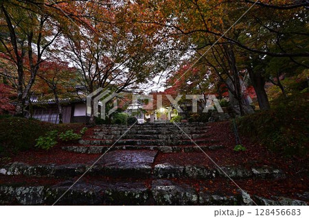 円通寺の紅葉 円通寺の紅葉 128456683