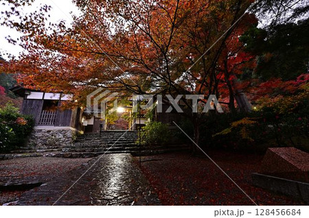 円通寺の紅葉 円通寺の紅葉 128456684