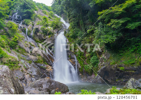 (佐賀県唐津市)新緑に包まれた見帰りの滝 (佐賀県唐津市)新緑に包まれた見帰りの滝 128456701
