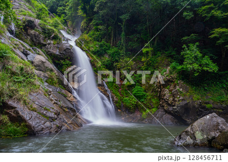 （佐賀県唐津市）新緑に包まれた見帰りの滝 128456711