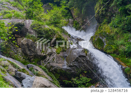 （佐賀県唐津市）新緑に包まれた見帰りの滝 128456716