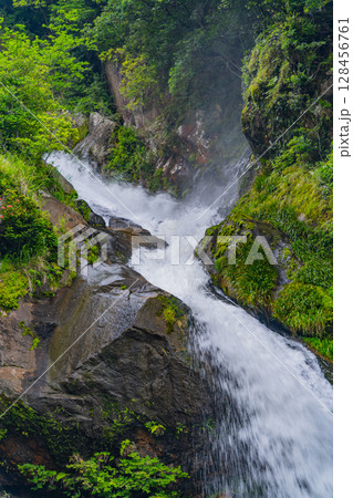 （佐賀県唐津市）新緑に包まれた見帰りの滝 128456761