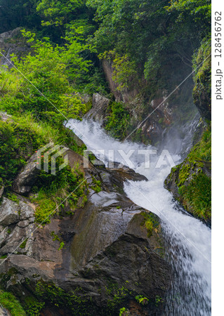 (佐賀県唐津市)新緑に包まれた見帰りの滝 (佐賀県唐津市)新緑に包まれた見帰りの滝 128456762