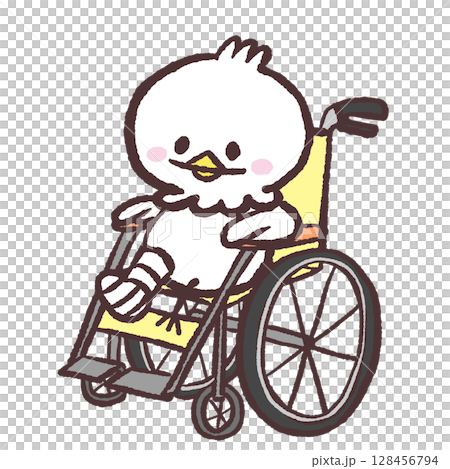 輪椅上的一隻白鳥的插圖 128456794