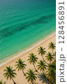 南国ビーチ 128456891