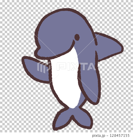 指さすイルカのイラスト 128457155