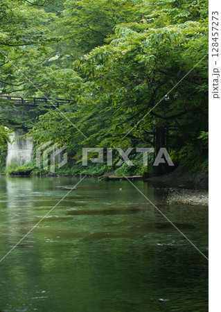 緑のある風景 緑のある風景 128457273