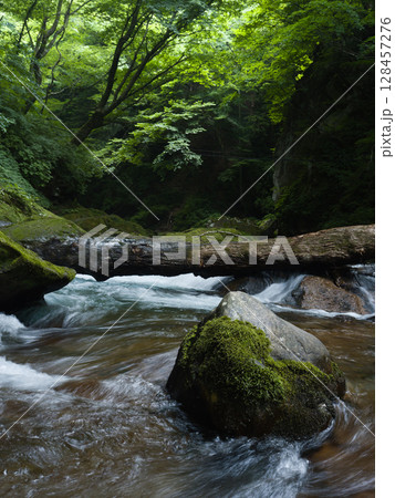 新緑の森を流れる清流 新緑の森を流れる清流 128457276