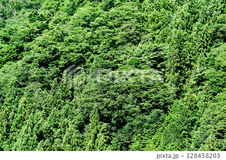 昼神温泉の山_02 昼神温泉の山_02 128458203