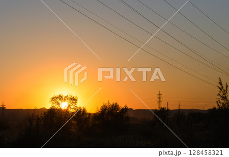 Sunset over trees and power lines Sunset over trees and power lines 128458321