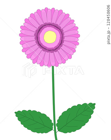 ガーベラの花 128458606