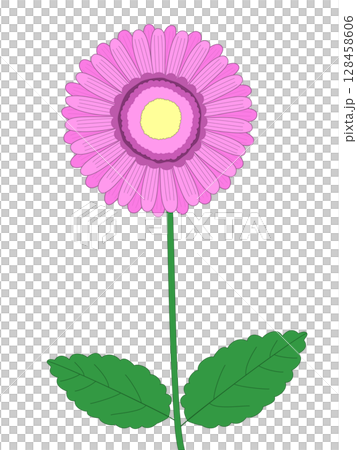 ガーベラの花 128458606