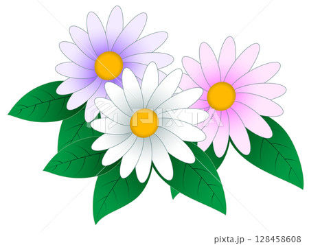 デイジーの花 デイジーの花 128458608