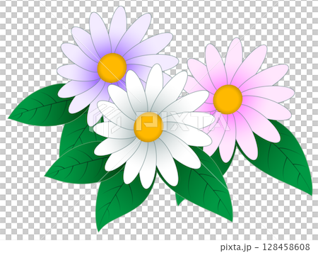 デイジーの花 デイジーの花 128458608