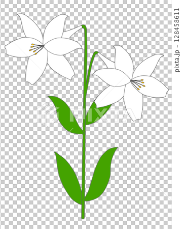 ユリの花 ユリの花 128458611