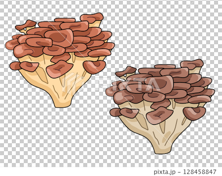 Illustration of Maitake 128458847