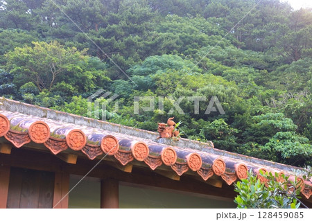 沖縄北部の原風景 128459085