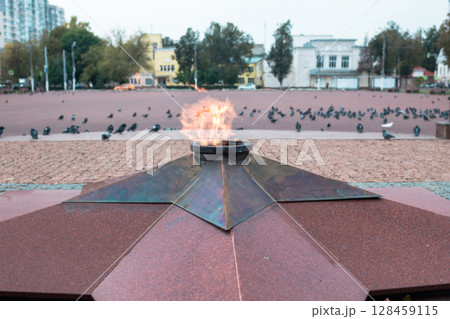Eternal flame at the memorial with burning flame against the background of the city square. Pigeons sitting on the paving stones in the park. 128459115