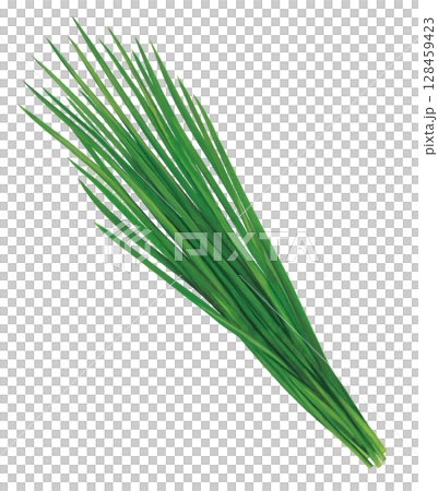韭菜圖 韭菜圖 128459423