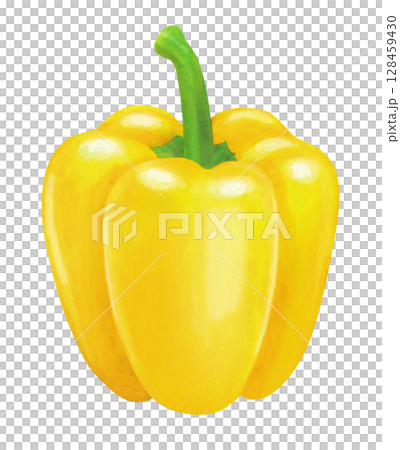 Illustration of yellow paprika Illustration of yellow paprika 128459430