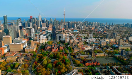 Aerial panorama revealing toronto's iconic skyline, highlighting cn tower rising above university campus, green spaces, and modern architectural landscape under clear blue skies. Urban concept Canada Aerial panorama revealing toronto's iconic skyline, highlighting cn tower rising above university campus, green spaces, and modern architectural landscape under clear blue skies. Urban concept Canada 128459738