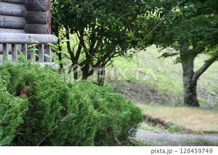 an 7月の風景 128459749