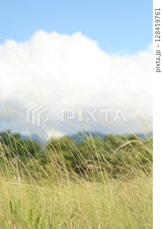 an 7月の風景 an 7月の風景 128459761